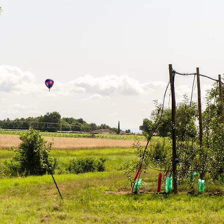 Le Domaine De La Rivaliere *