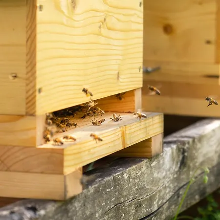 Le Domaine De La Rivaliere 4* Albias