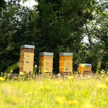 Le Domaine De La Rivaliere Panzió 4*