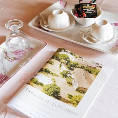 Bed & Breakfast Le Domaine De La Rivaliere Albias