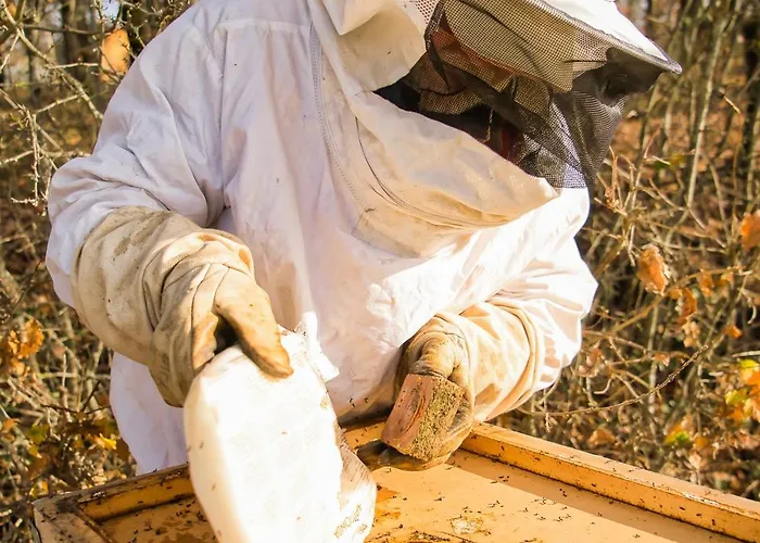 Le Domaine De La Rivaliere Albias