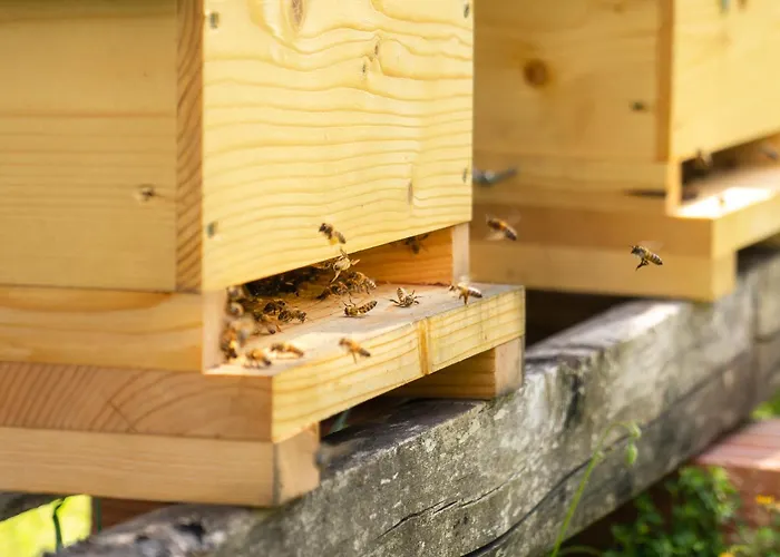 Le Domaine De La Rivaliere 4* Albias