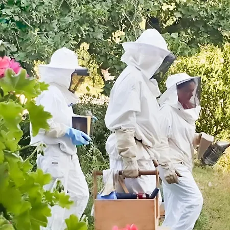 Le Domaine De La Rivaliere Bed & Breakfast