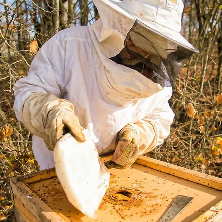 Le Domaine De La Rivaliere Albias