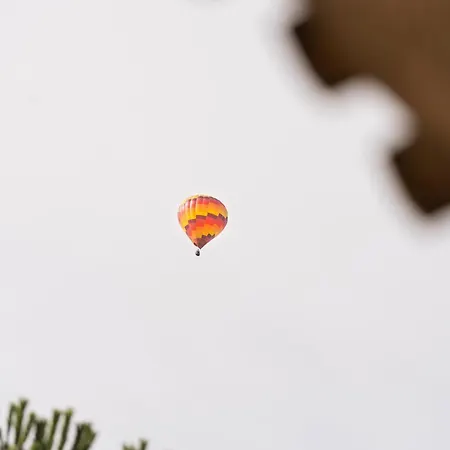 Le Domaine De La Rivaliere Bed & Breakfast