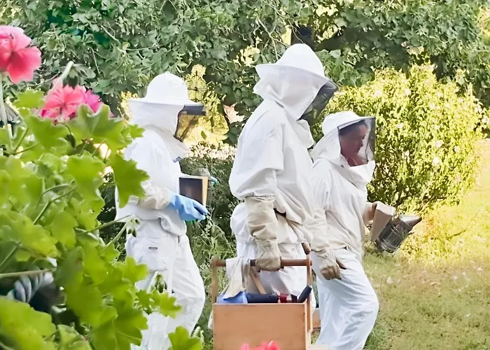 Le Domaine De La Rivaliere Alojamento de Acomodação e Pequeno-almoço