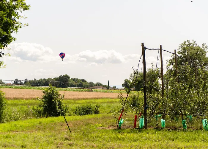 Le Domaine De La Rivaliere 4*